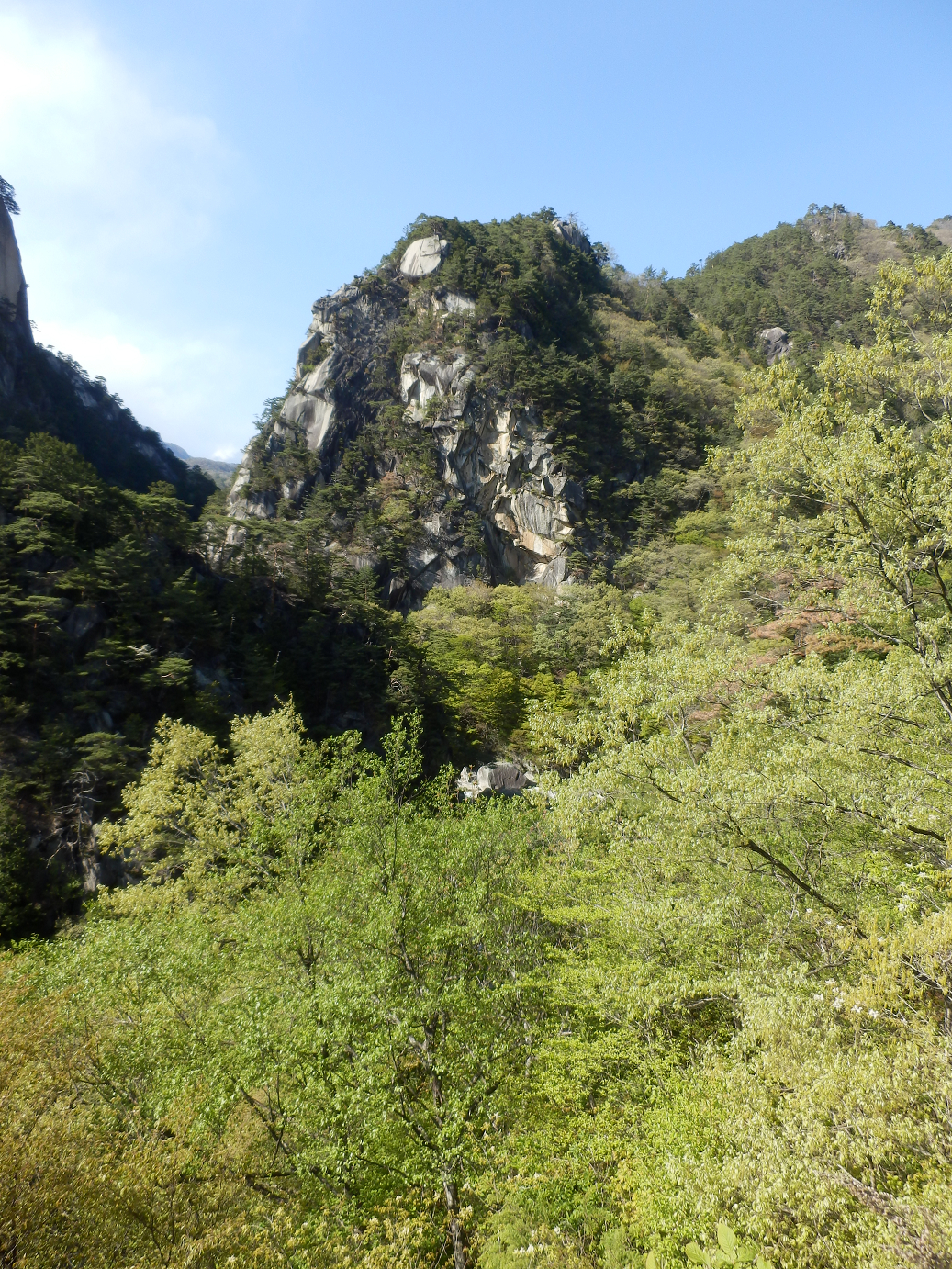 P4278306.jpg