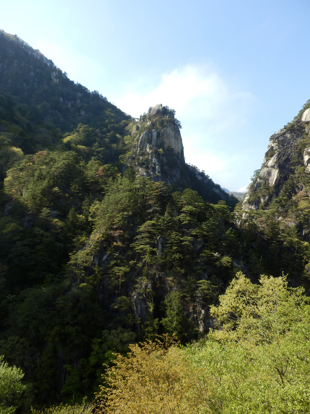 P4278308.jpg