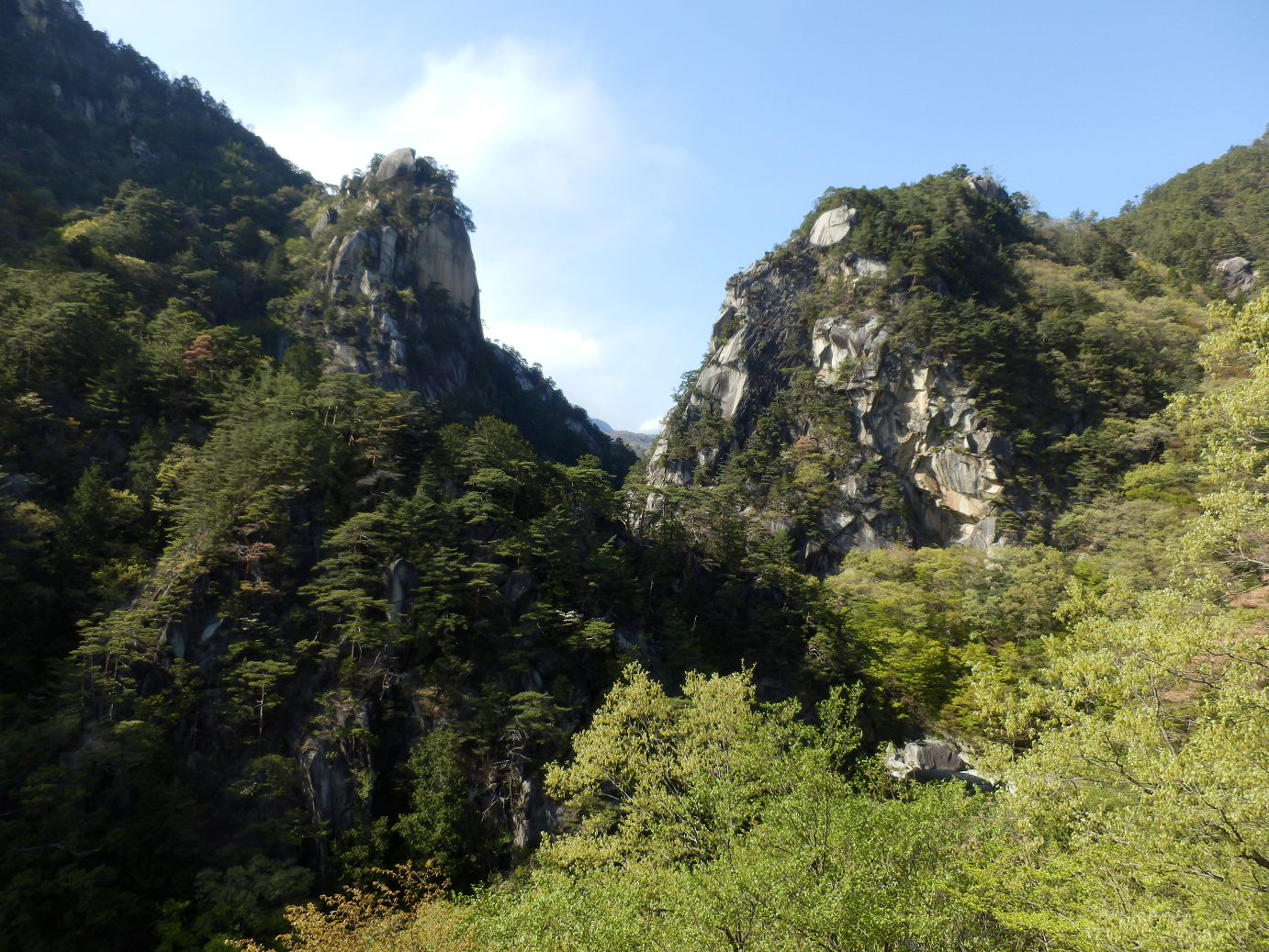 P4278309.jpg