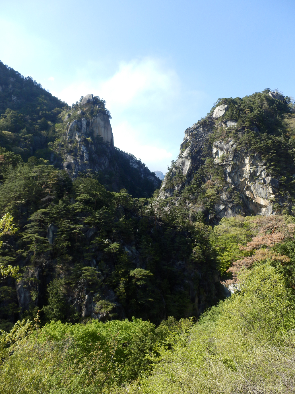 P4278310.jpg