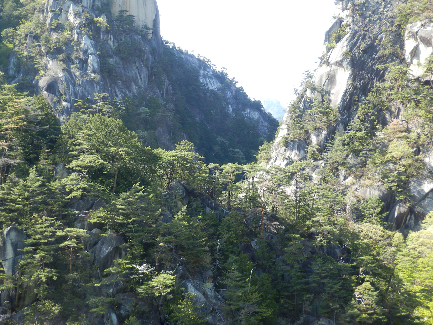 P4278311.jpg