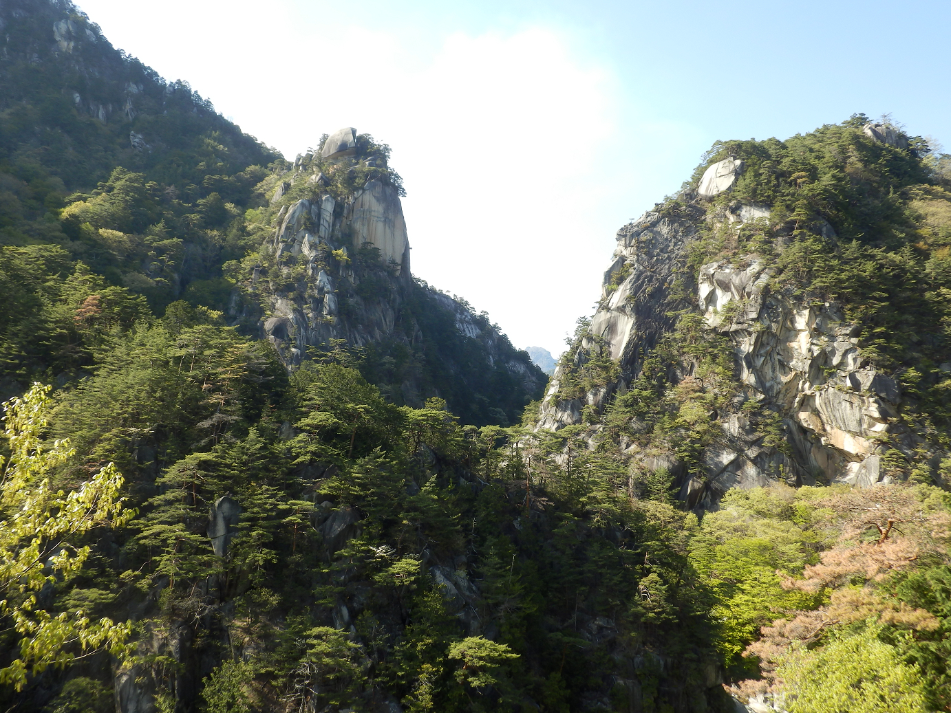 P4278312.jpg