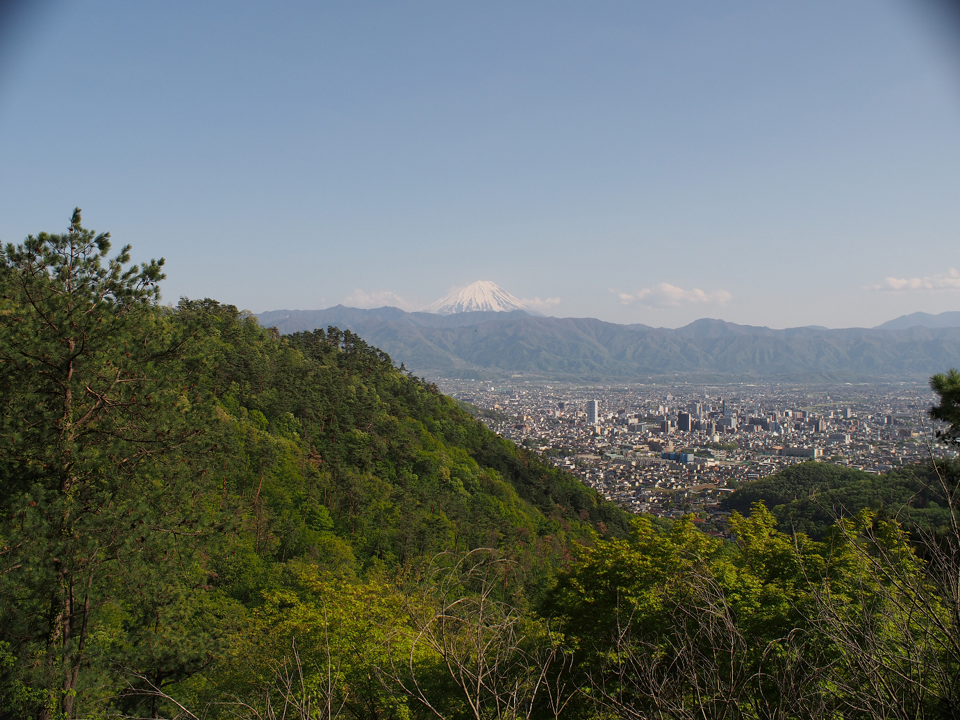 P4278314.jpg