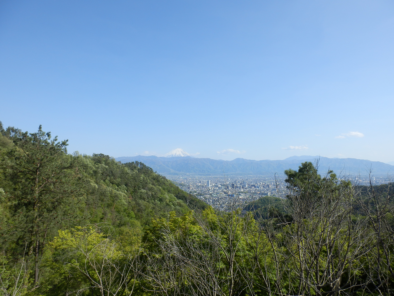 P4278315.jpg