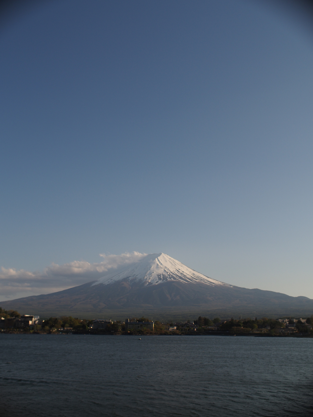 P4278317.jpg