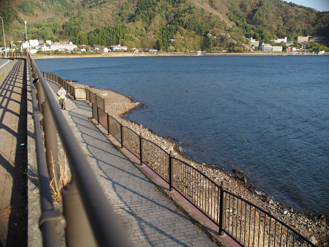 P4278318.jpg