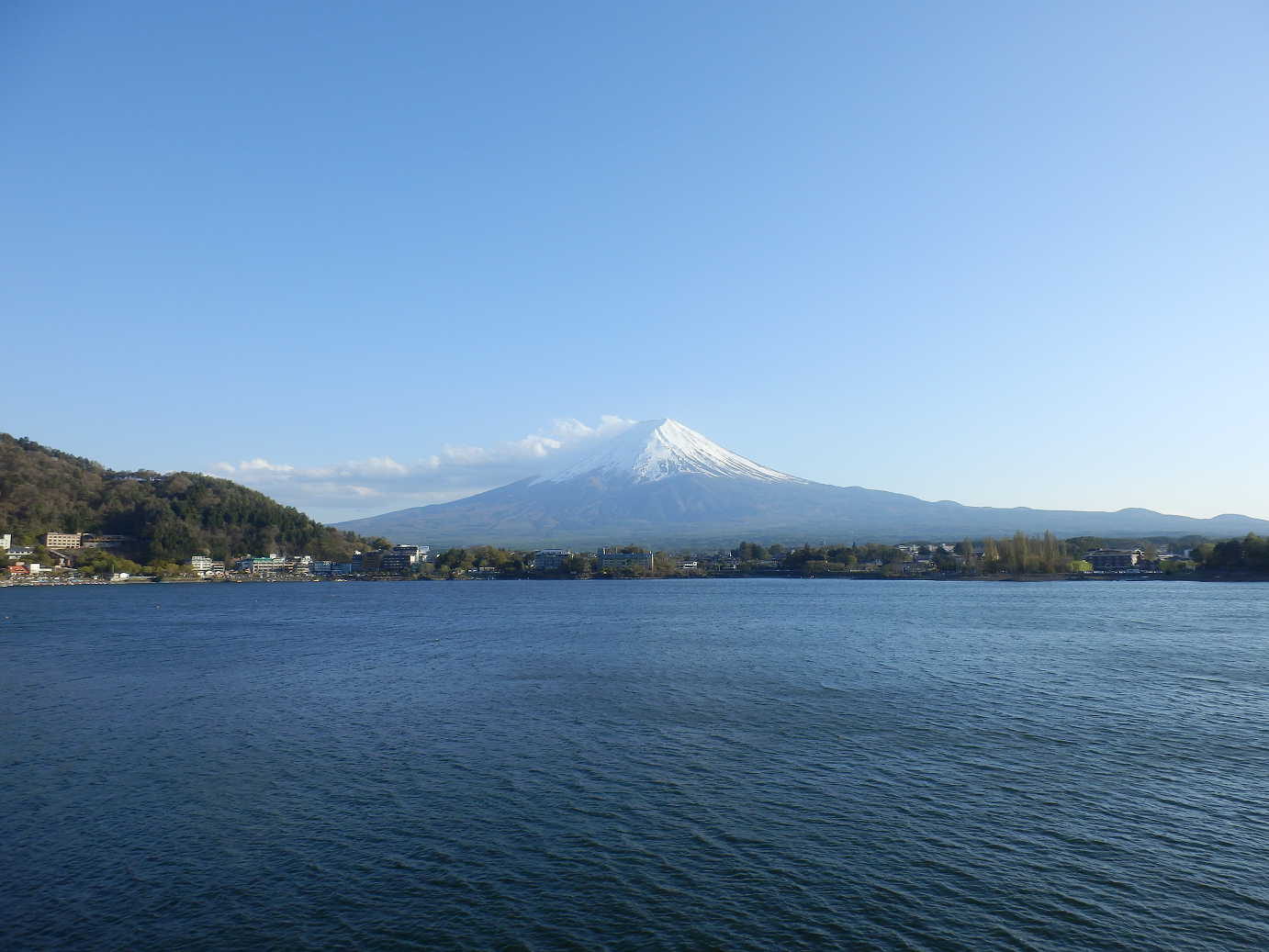 P4278319.jpg