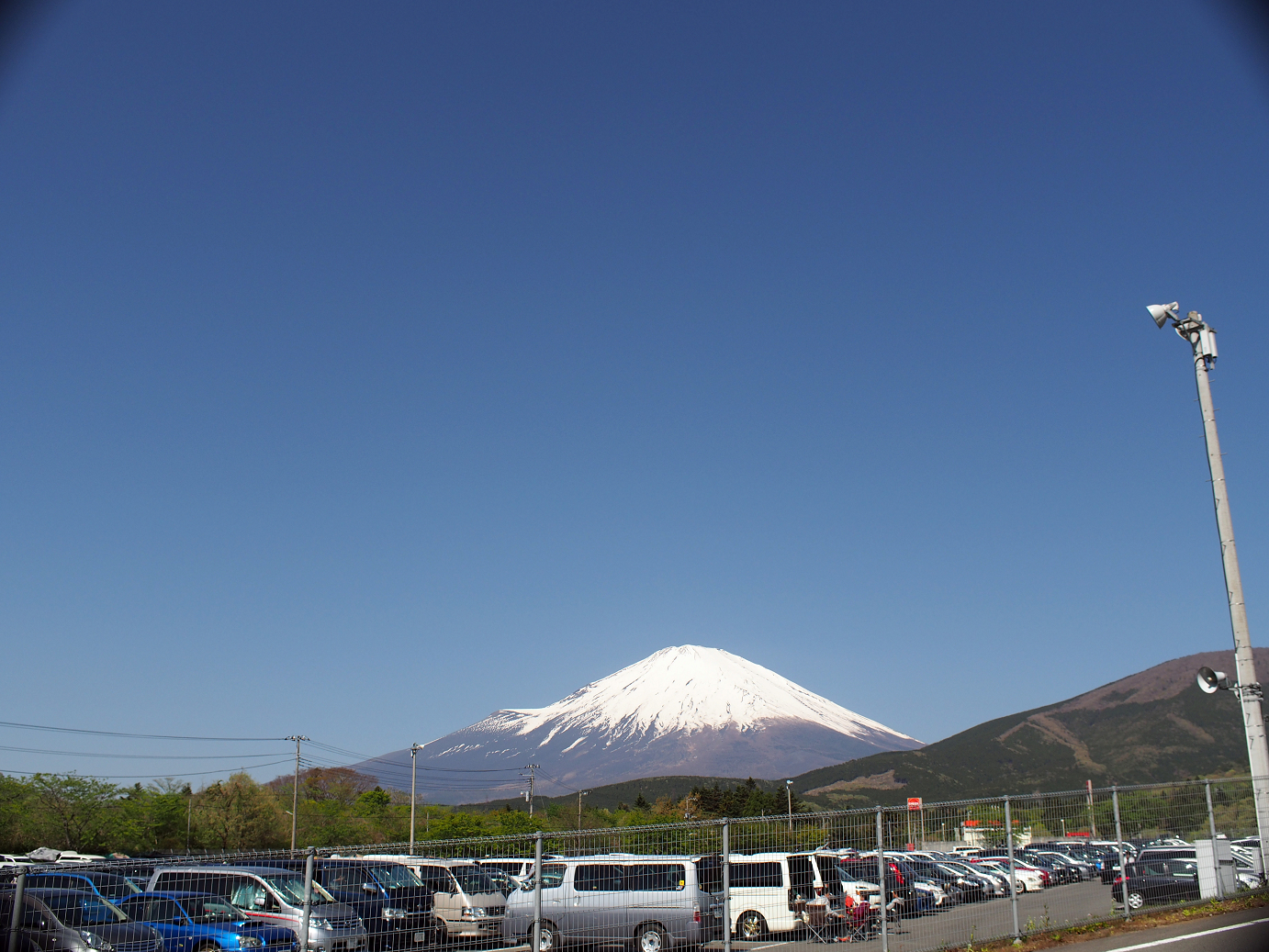P428007.jpg