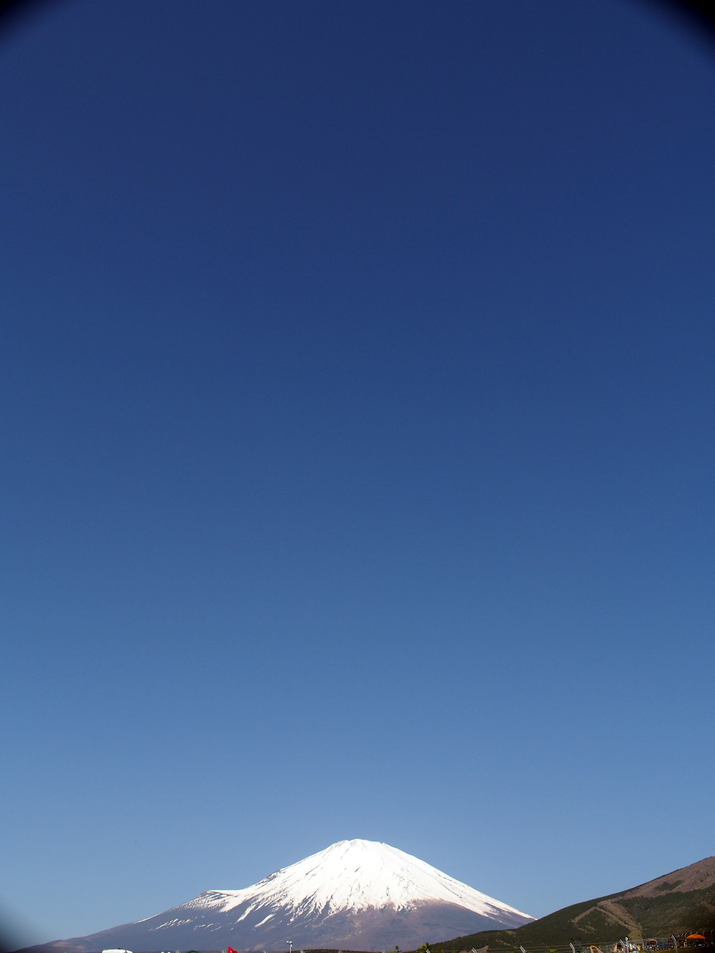 P428009.jpg