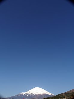 P428009_thumb.png