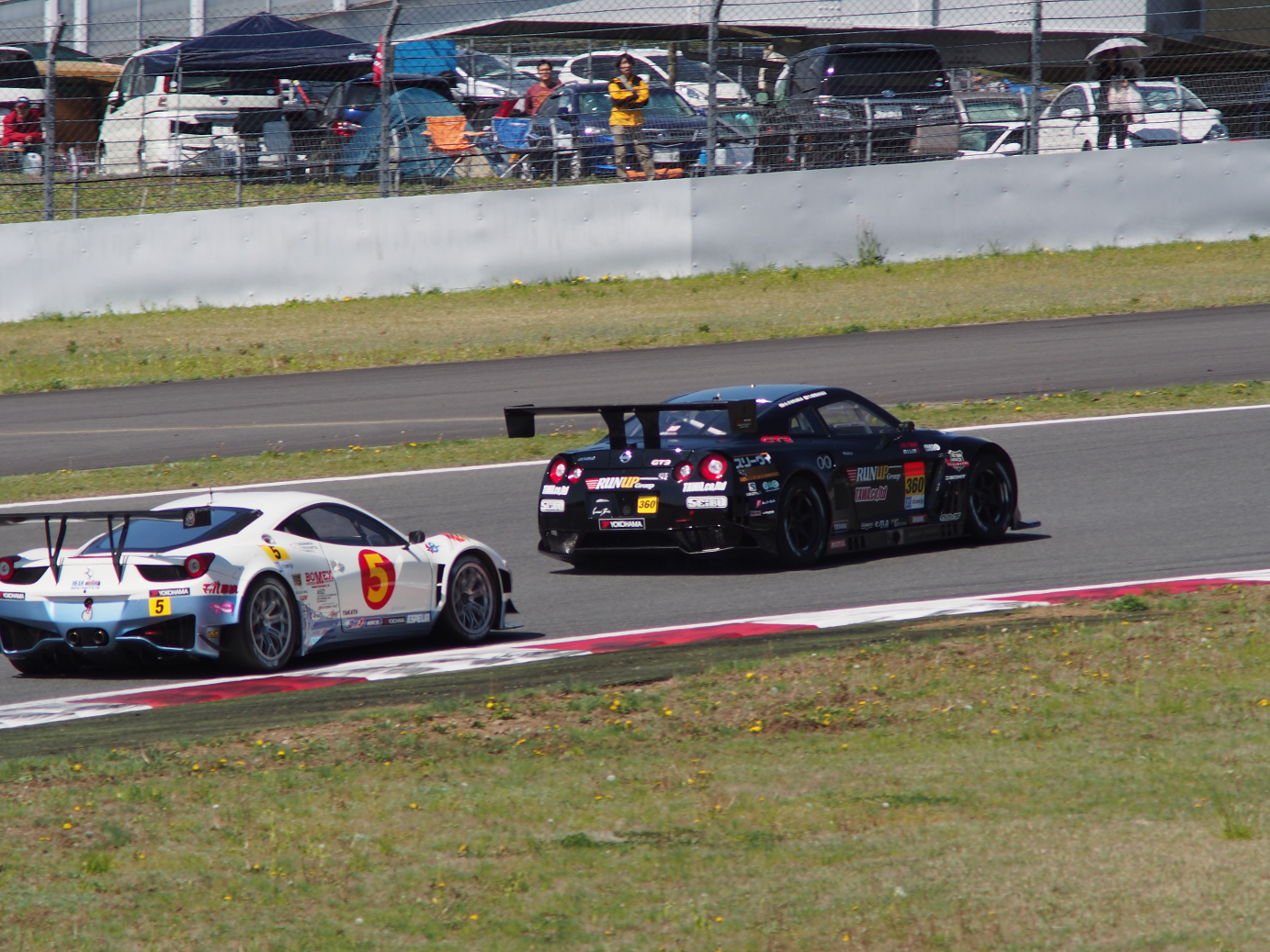 P428062.jpg