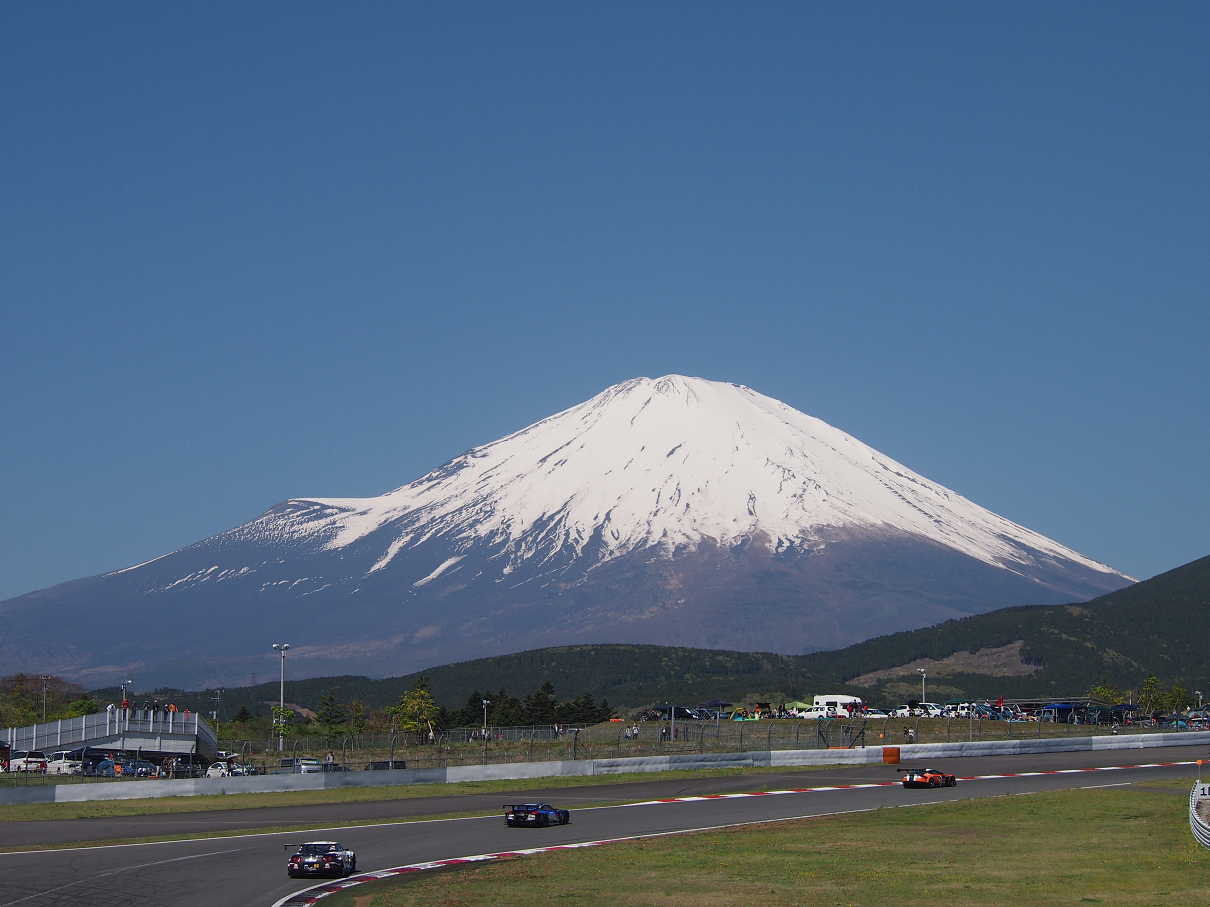 P428090.jpg