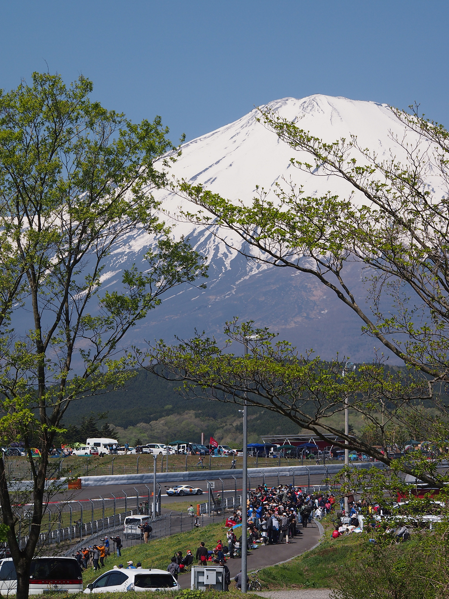 P428136.jpg