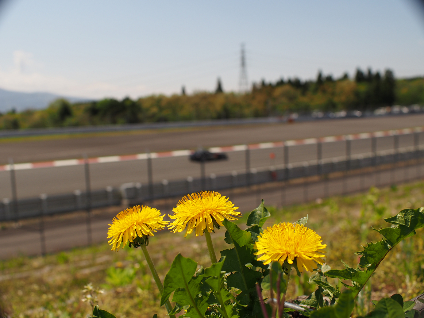 P428140.jpg