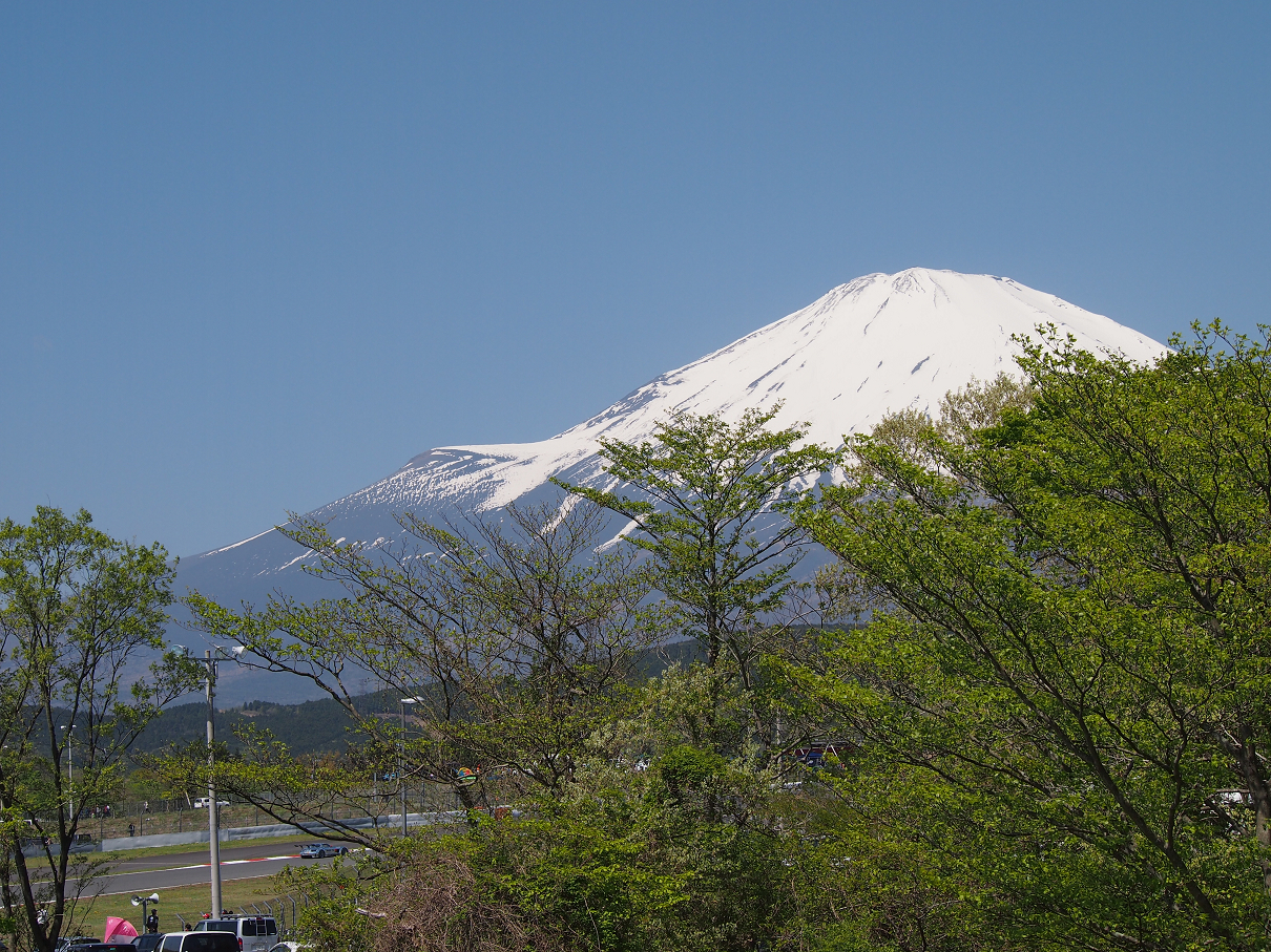 P428141.jpg