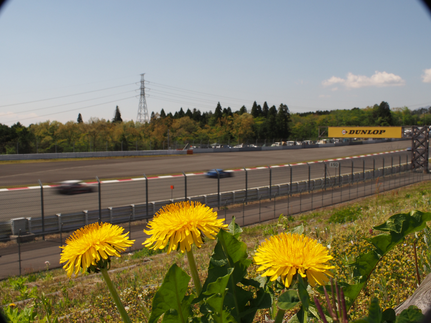 P428142.jpg