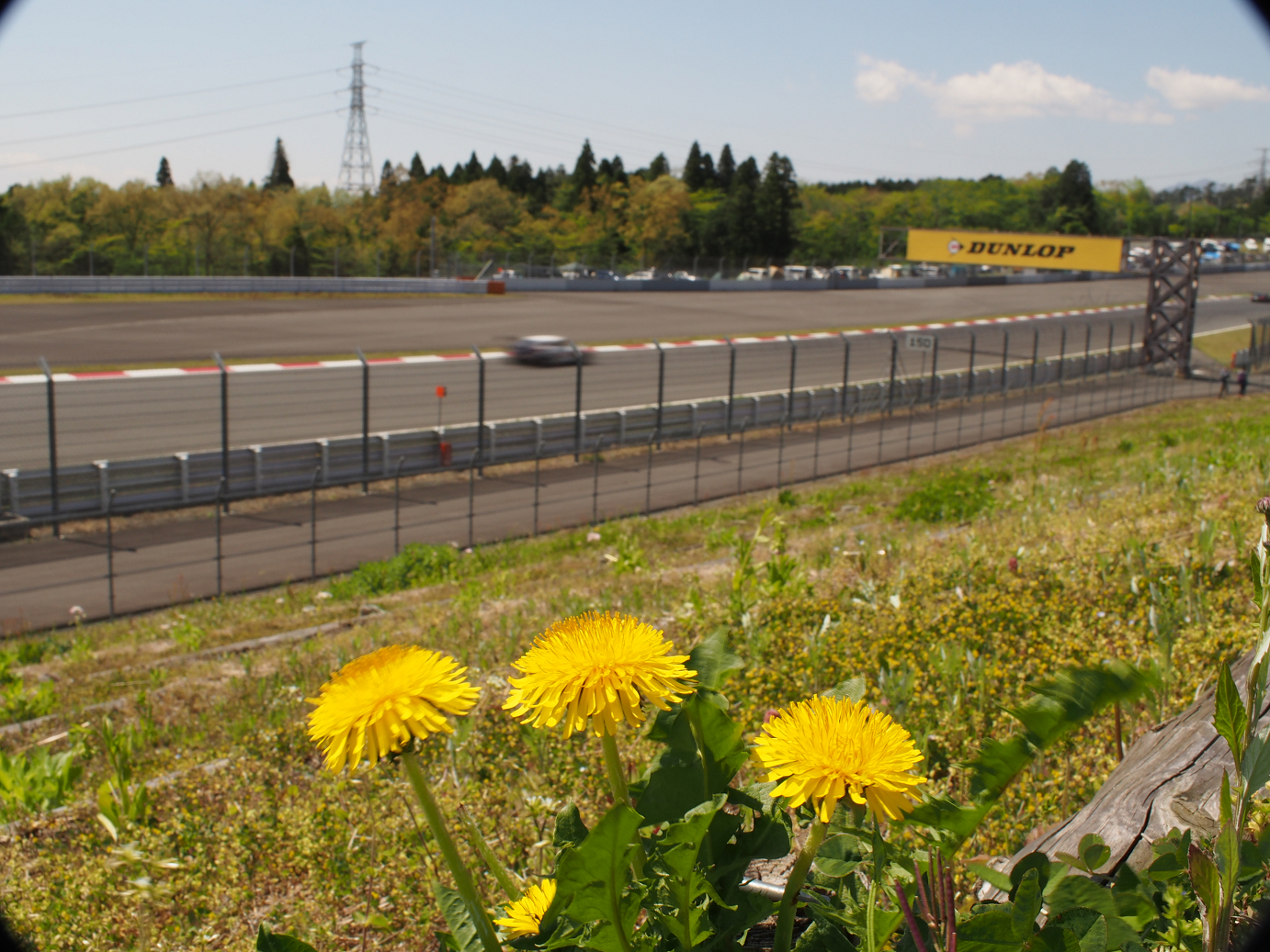 P428143.jpg