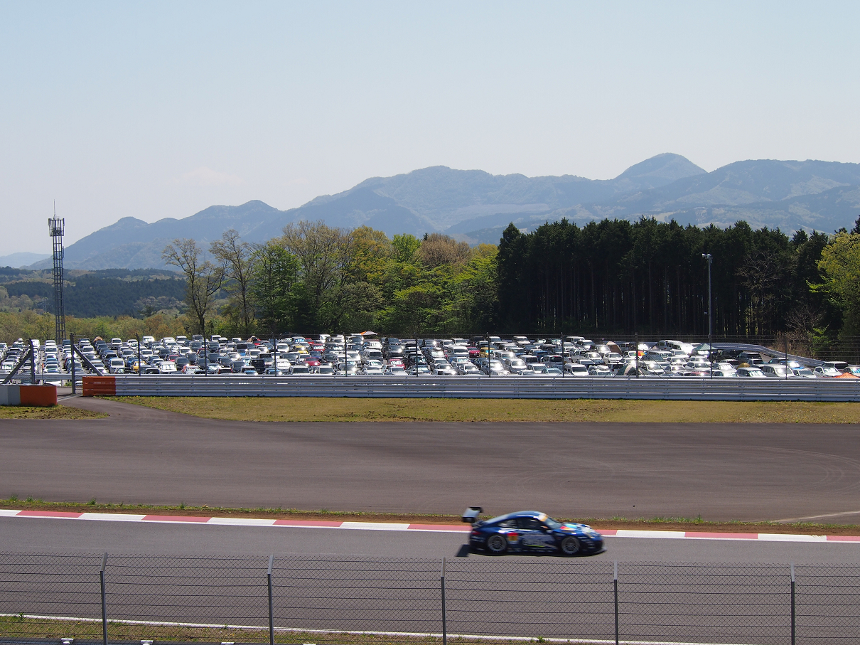 P428165.jpg