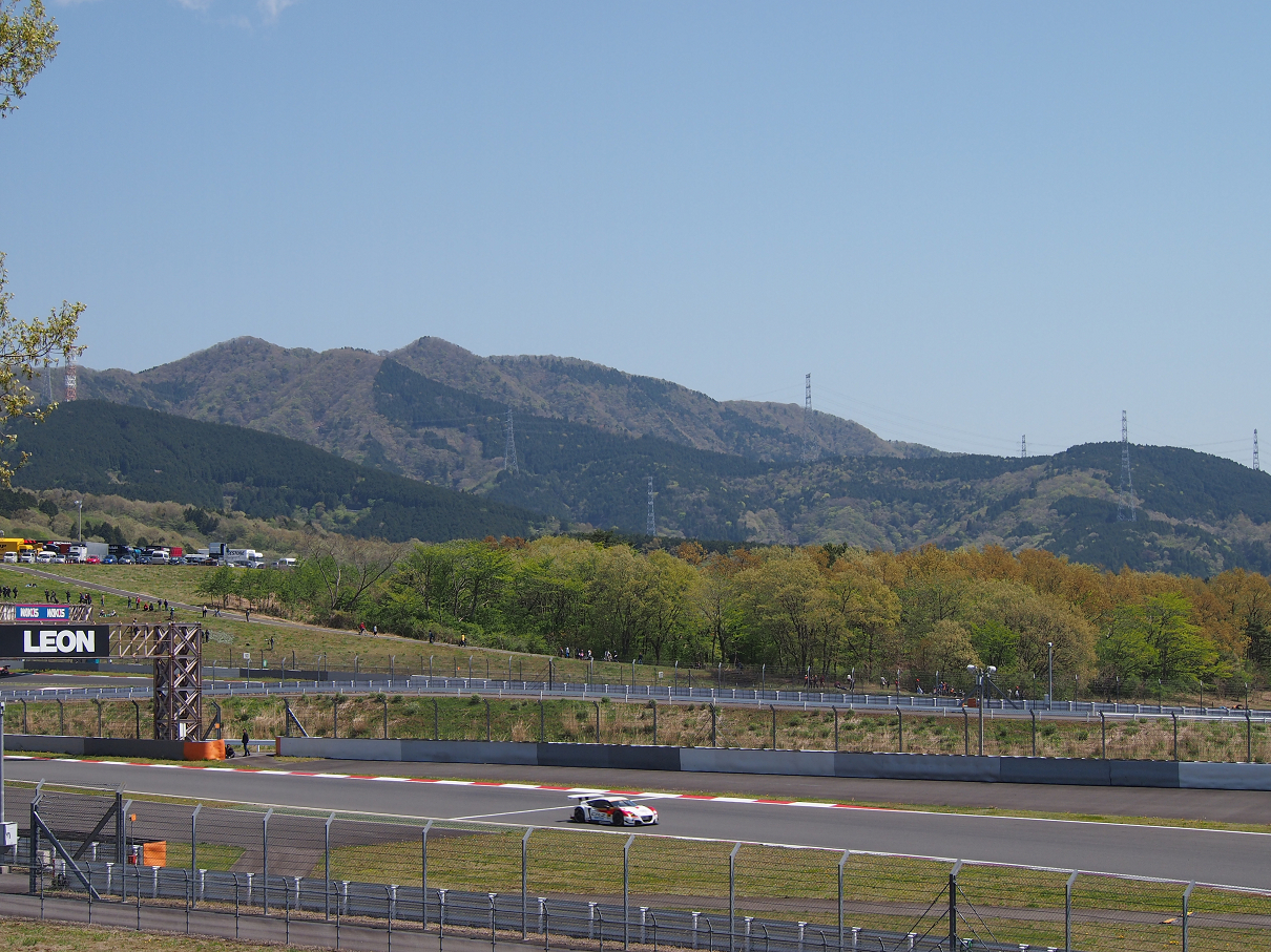 P428169.jpg