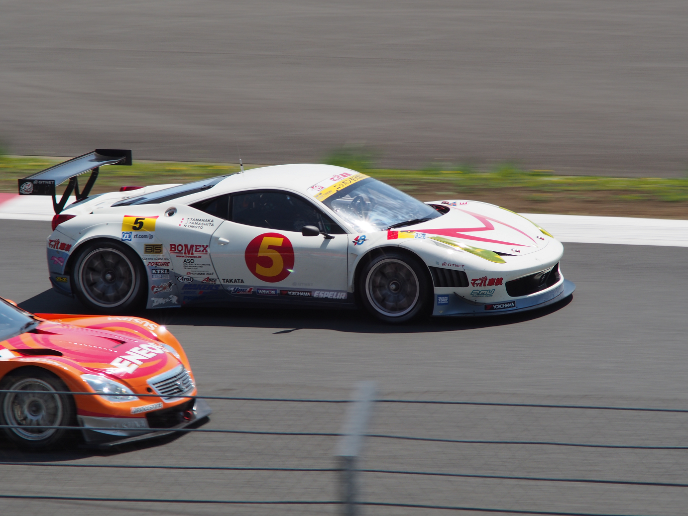 P428186.jpg