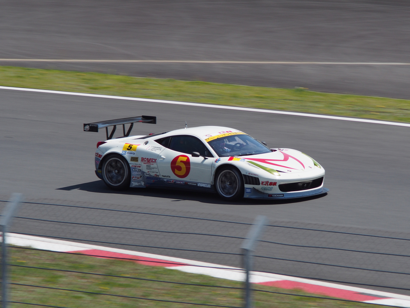 P428202.jpg