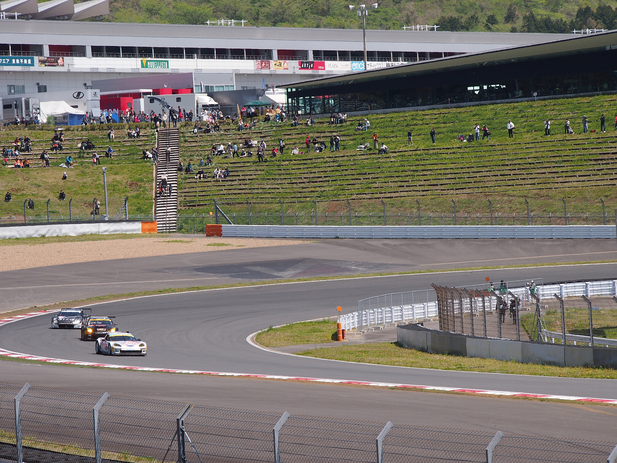 P428210.jpg