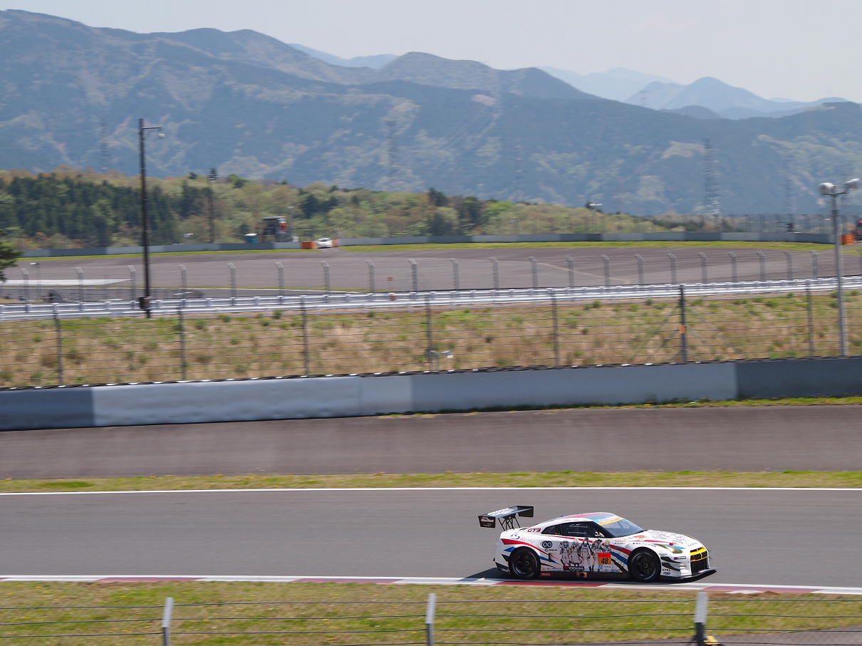 P428223.jpg
