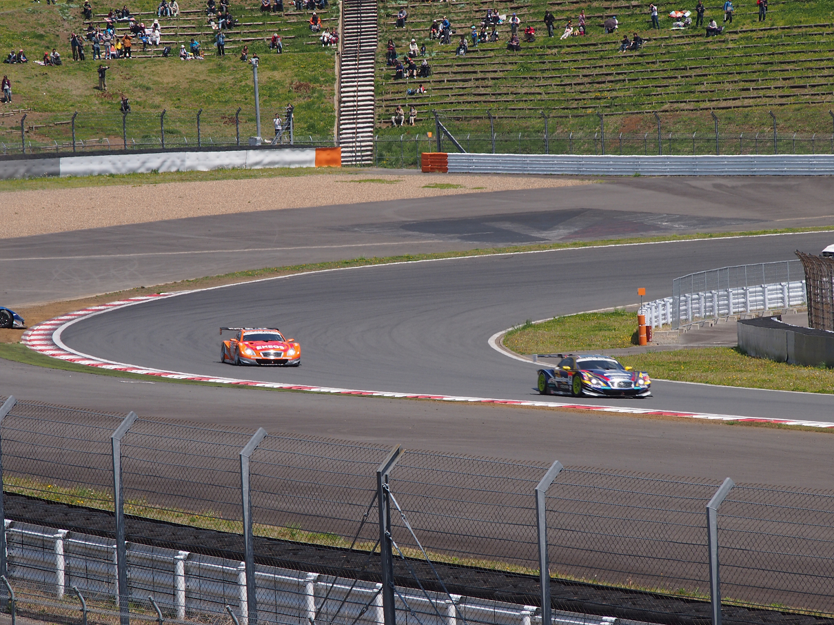 P428267.jpg