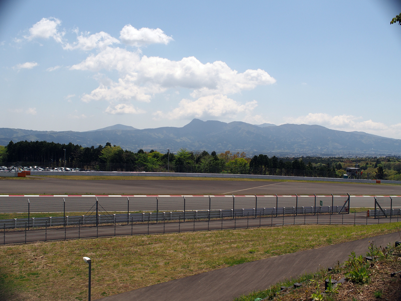 P428296.jpg