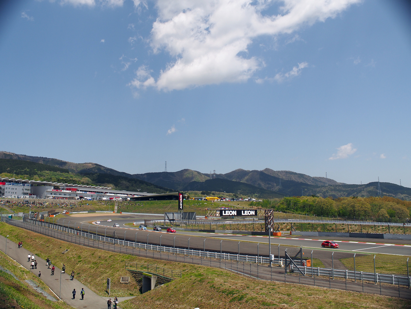 P428297.jpg