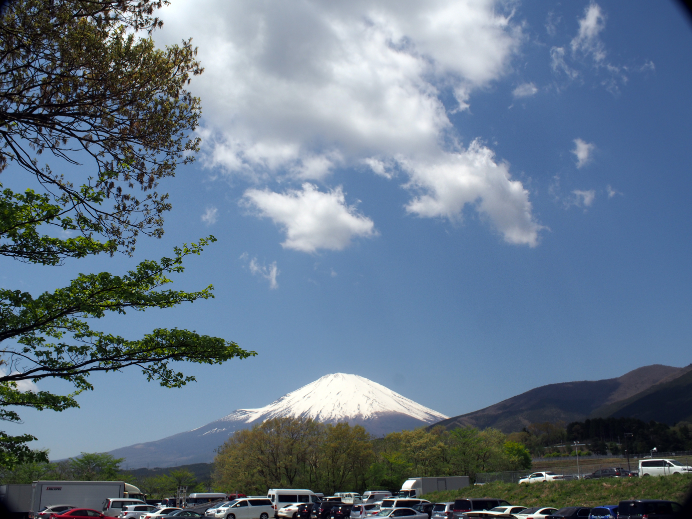 P428298.jpg