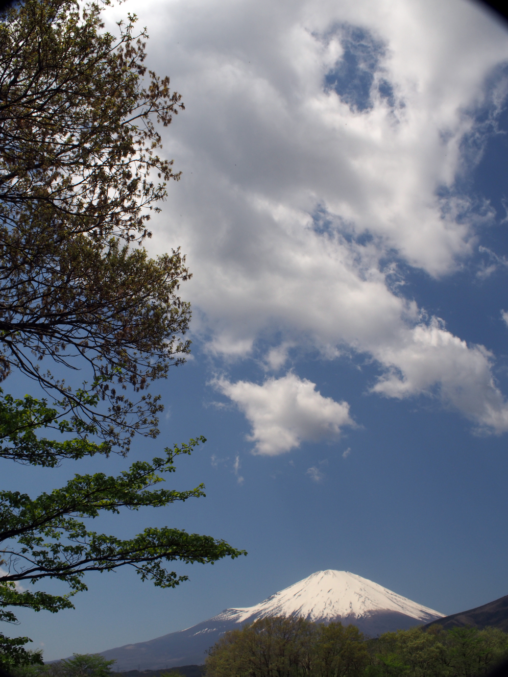 P428299.jpg
