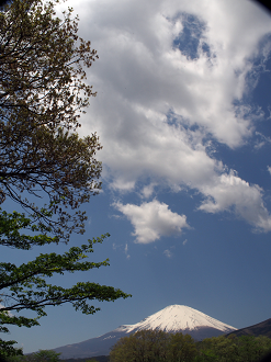 P428299_thumb.png
