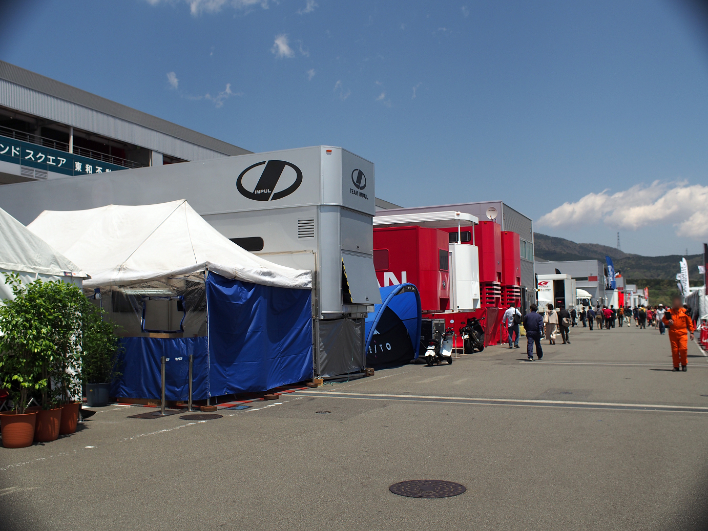 P428311.jpg