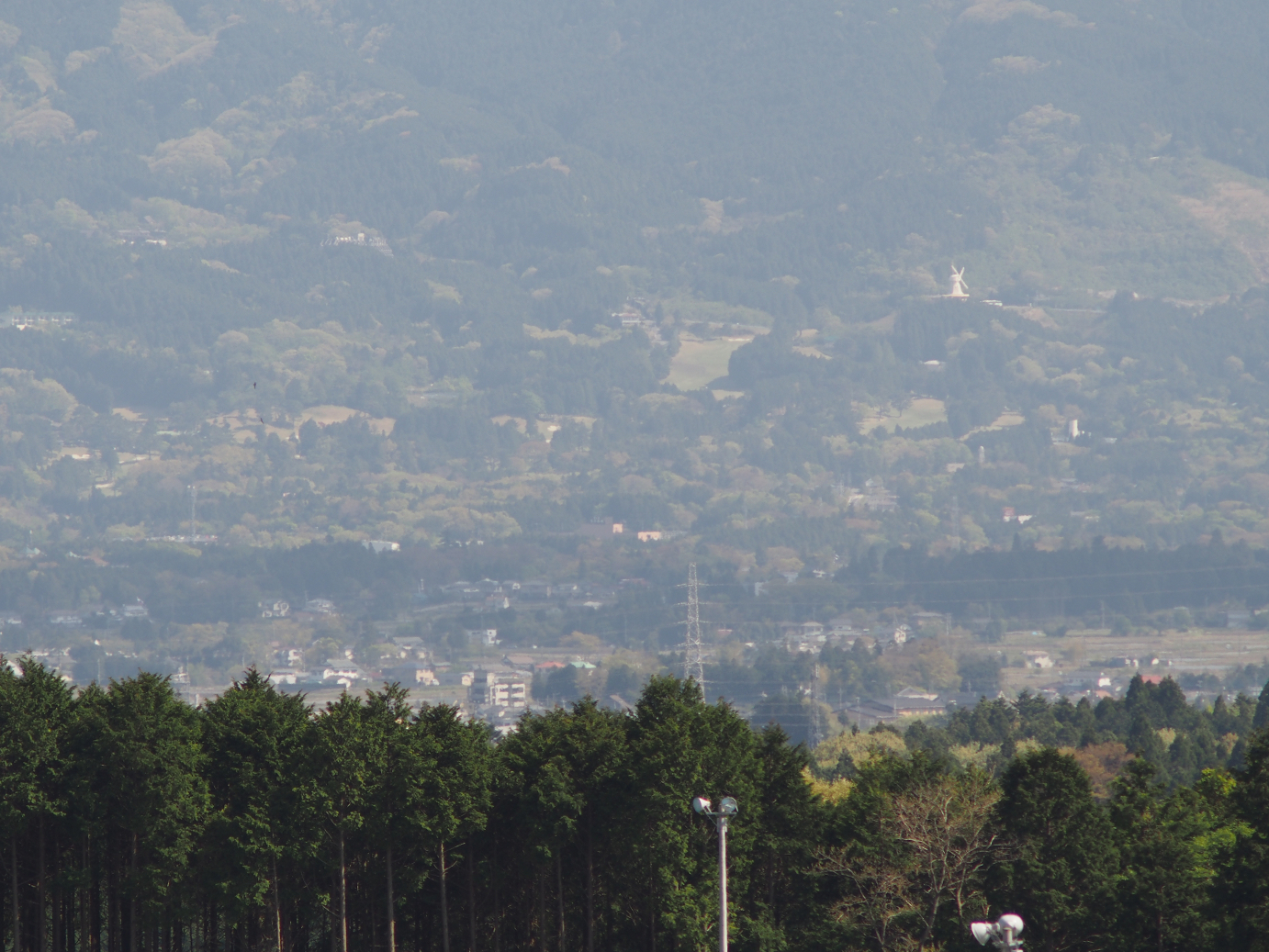 P428558.jpg