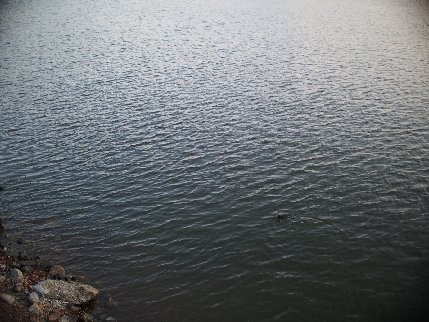 P428664.jpg