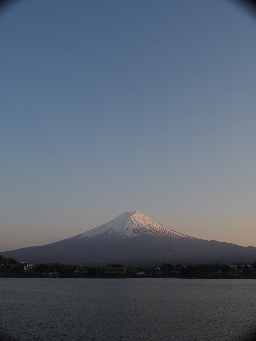 P428666.jpg