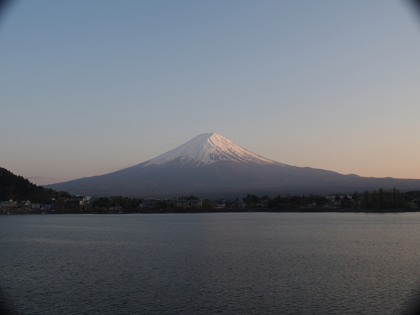 P428667.jpg