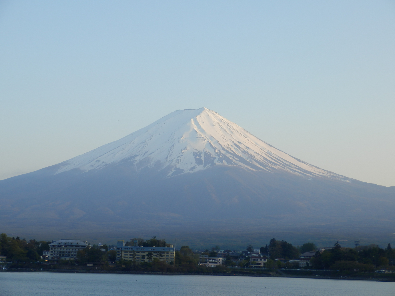 P428669.jpg