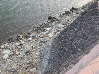 P428670_thumb.png