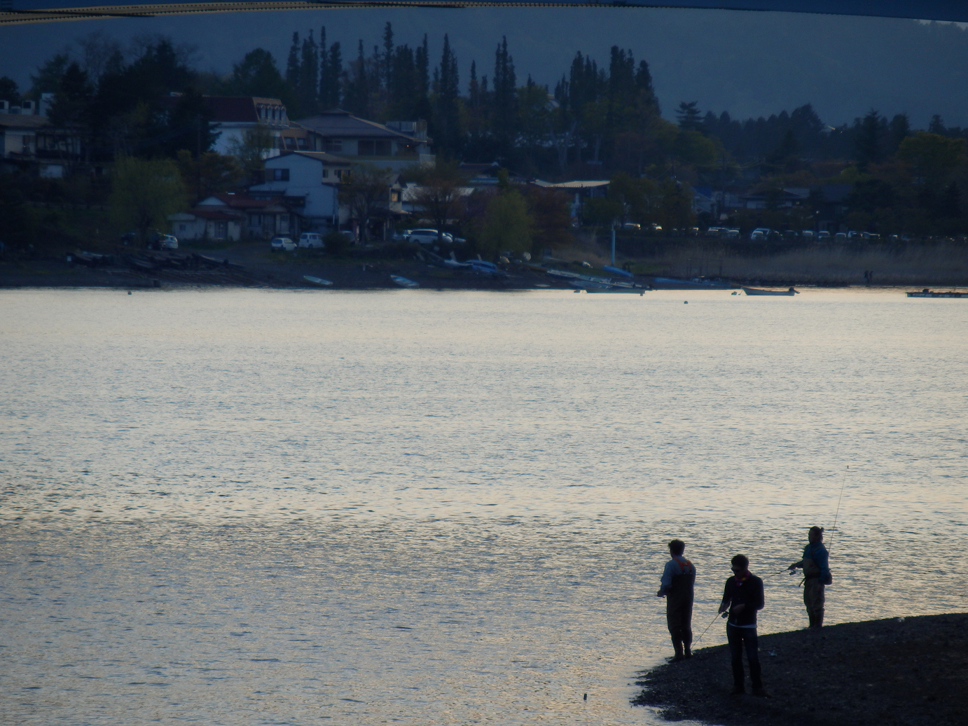 P428673.jpg