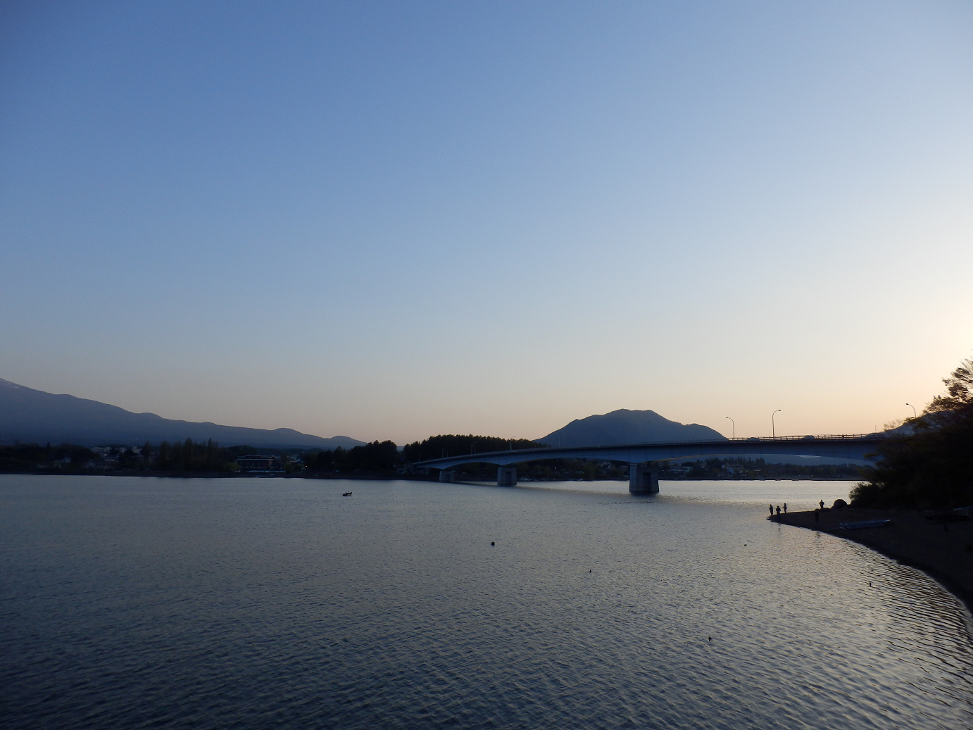 P428674.jpg