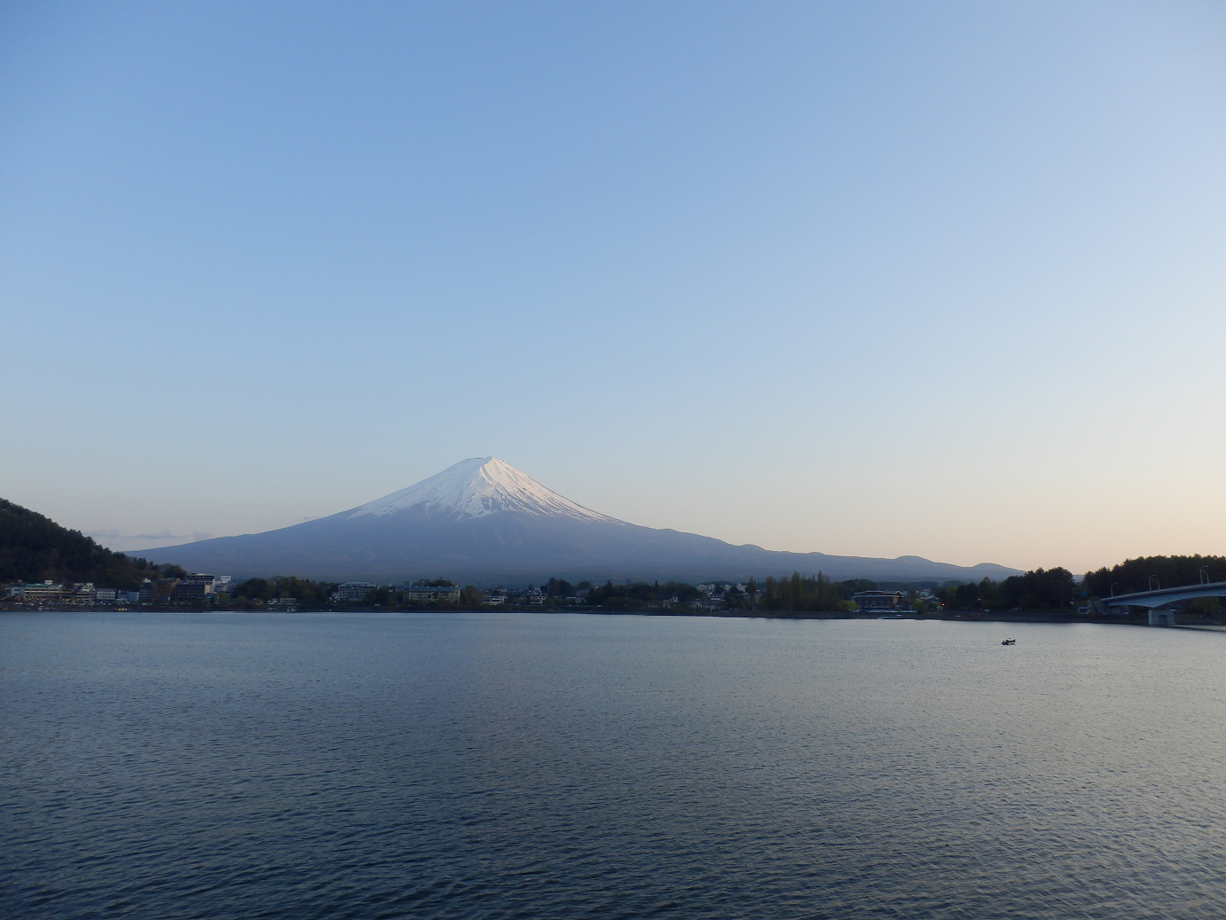 P428675.jpg