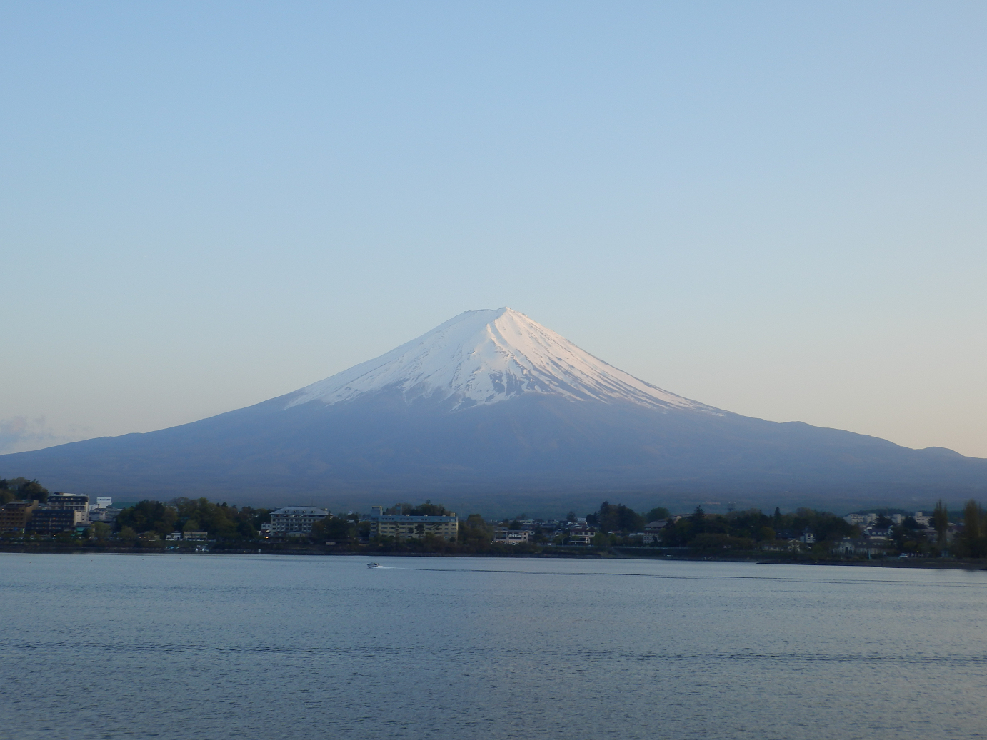 P428677.jpg