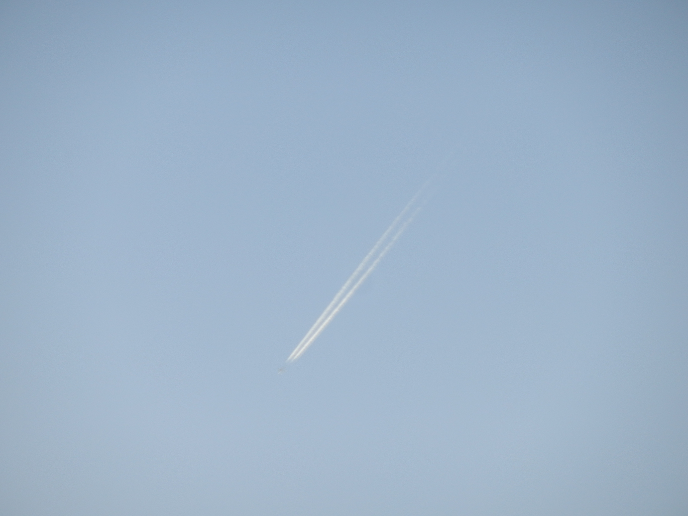 P428678.jpg