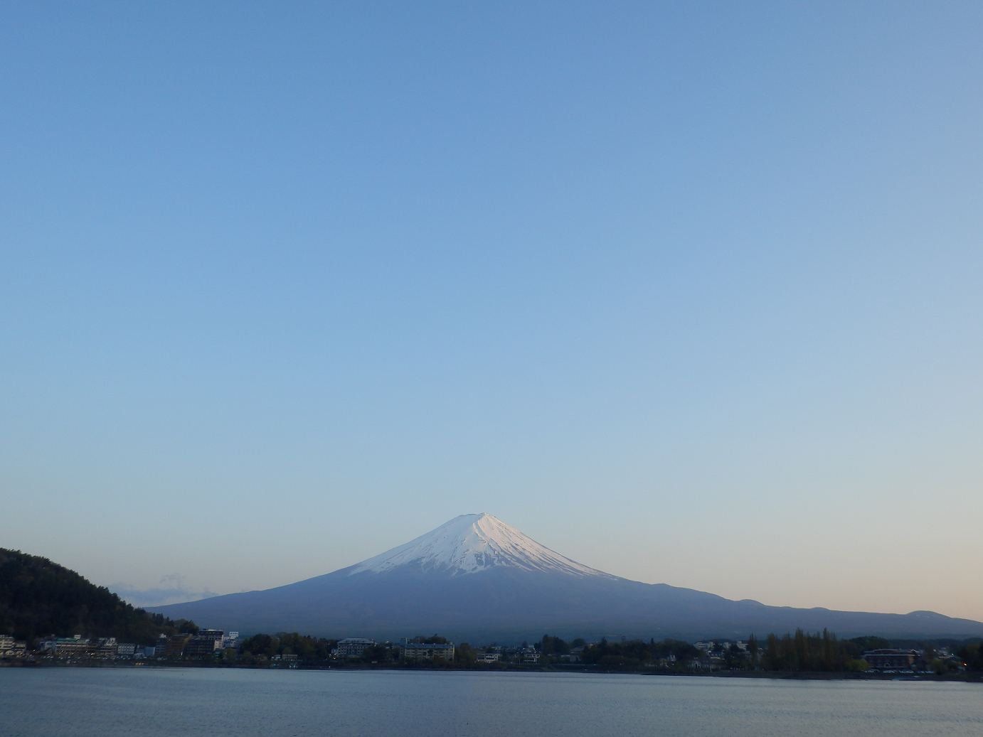 P428679.jpg