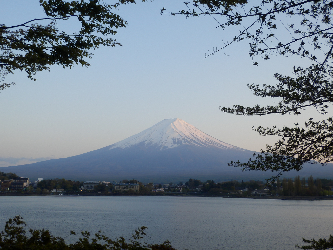P428681.jpg