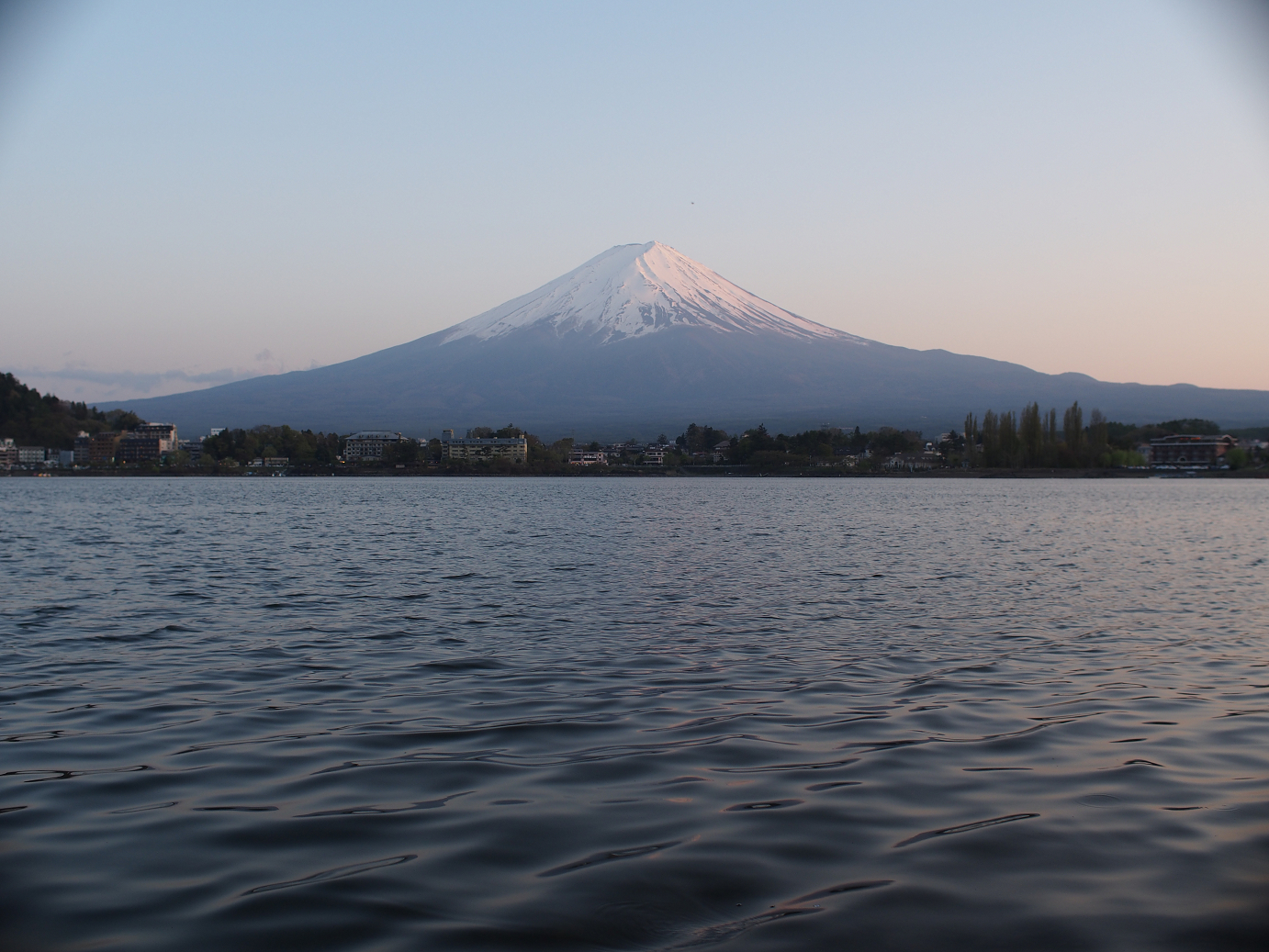P428682.jpg