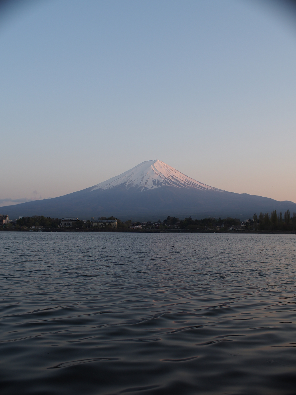 P428683.jpg