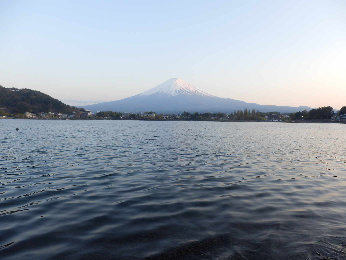 P428684.jpg